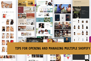 Expanding Your Dropshipping Business: Tips for Opening and Managing Multiple Shopify Stores