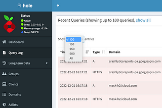 Change the default number of recent query in Pi-hole