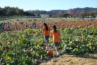 My sister and I on the hunt for the quintessential pumpkin in 2009.