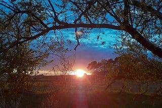 Markets will fix this, right?