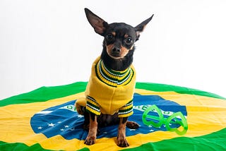 A Surprise Win for the Brazilian Small Business Underdog
