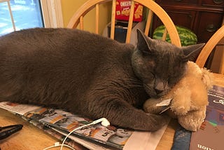 My Cat, The Walking Clock