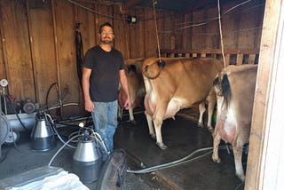 Fasting on Raw Milk!