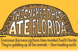 The Snakes That Ate Florida