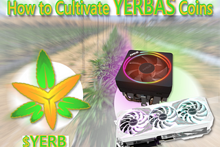How to Cultivate YERBAS Coins