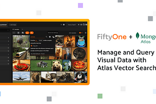 Efficiently Managing and Querying Visual Data With MongoDB Atlas Vector Search and FiftyOne