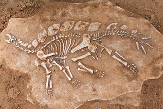 Advertising Creative Strategies Are Like Fossils