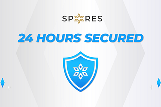 Spores 24h Secured Policy