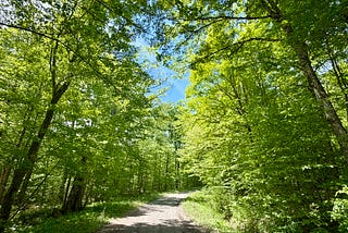 Enjoying the Summer Greens on Our First Camping Trip of the Season