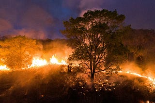 Time Series and LSTMs for Pantanal Fires analysis