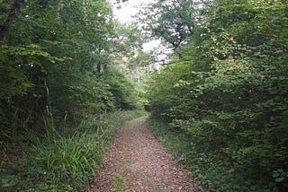 Wellbeing Wall: Walking Routes