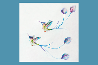 Two hummingbirds in flight