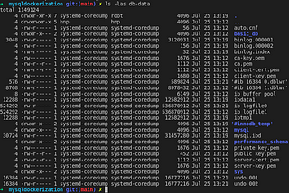 MySQL-Bind Mounts