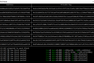 How to build and use VeChain Thor in Microsoft Windows