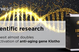 Synthesit almost doubles the activation of anti-aging gene Klotho