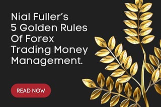 TRADING LESSON — Nial Fuller’s 5 Golden Rules of Forex Trading Money Management