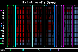 Creationists Don’t Understand Transitional Species