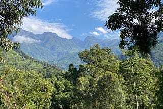 A stunning blue sky with mountains and a jungle valley below it.