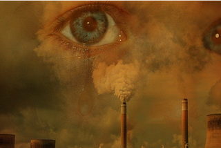 Have You Ever Wondered Why Social And Environmental Problems Persist On The Planet?