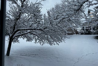 Why Winter Wonderlands Melt This Gal’s Heart