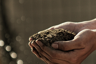 Capturing carbon in the soil to improve soil health and productivity