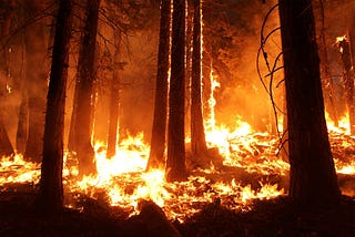 Analyzing 24 years of wildfire data in the US