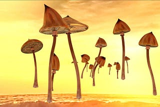 The difference between intentions and expectations in psilocybin therapy