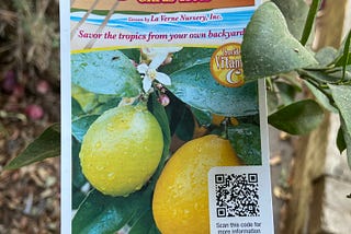 How To Read A Fruit Tree Nursery Tag