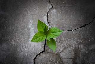 Unbreakable Resilience: How to Thrive in Challenging Times