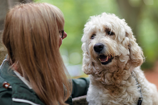 talking to your dog