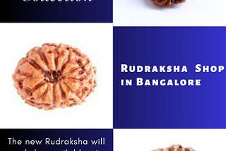 Excellent Rudraksha Shop in Bangalore