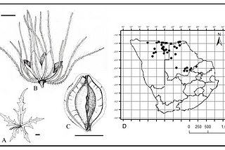 A figure plate of illustrations and a distribution map