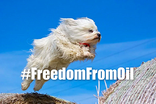 #FreedomFromOil