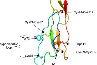 Why the MCAT Bio / Biochem section is so critical and how to read a passage, Part III