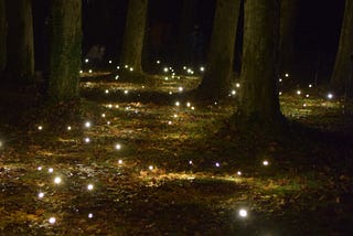 Dancing Fireflies