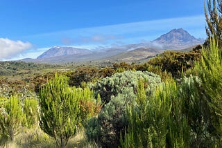 Shrubs and short trees and distant grasslands pictured in front of Kibo and Mawenzi Peaks on Mount Kilimanjaro under blue sky with some broken clouds.