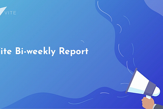 Vite Bi-weekly Report