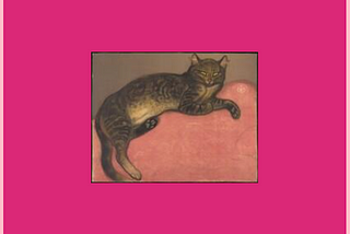 A pink rectangle with a small image thumbnail displayed inside it. The thumbnail shows a cat on a cushion.