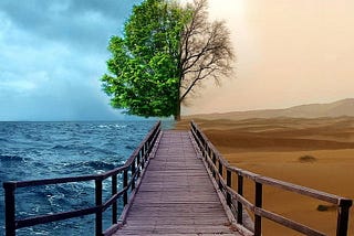 From exclusion to empathy: The power of the ’in-between’.