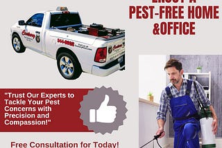 Residential Pest Control in Lockhart: A Comprehensive Guide by Century Pest Control