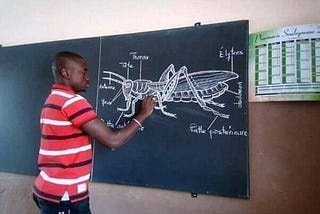 What i learnt from drawing Grasshopper diagram in Biology back in Secondary School.