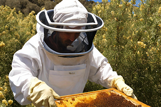 The healthiest honeys in the world are both Manuka and Buckwheat honey.