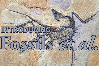 A banner saying introducing fossils et al. There is an Archeopteryx in the background