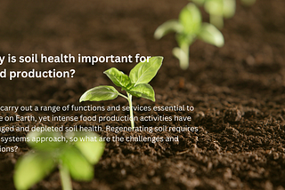 Why is soil health important for food production?