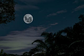 Photo by Tom Fisk: https://www.pexels.com/photo/low-angle-photography-of-full-moon-under-silhouette-of-tall-trees-1716158/