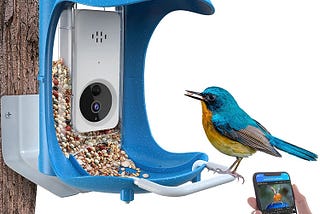 Get the scoop on smart bird feeders plus the top 5 best bird feeders on the market today!