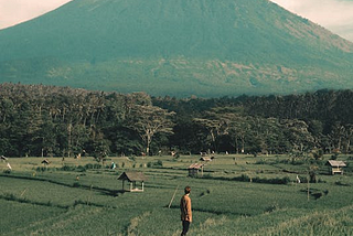 Person in fields looking towards a mountain