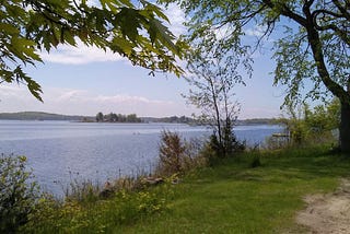 Trees and grass beside a river that is wide enough to be a lake — the St. Lawrence Seaway. Blue skies and warm sunshine.
