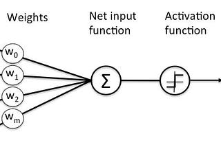 The Perceptron