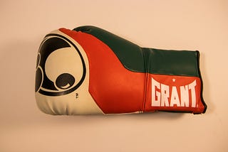 Green, red, and white boxing gloves with cool pattern on the fist